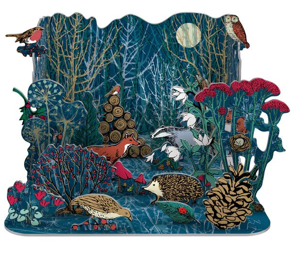 Winter's Tale Pop & Slot Advent Calendar MW-21496