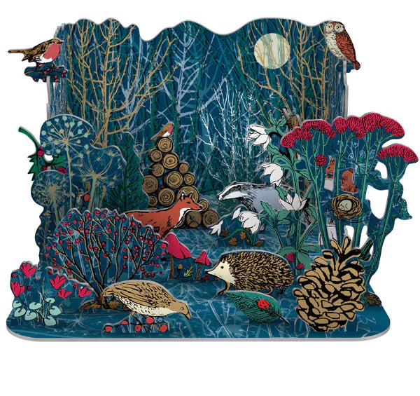 Winter's Tale Pop & Slot Advent Calendar MW-21496