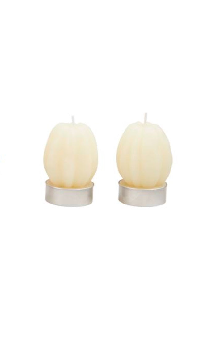 Fall Figural Tea Light Set MW-21542_4