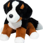 Bowie Bernese Mountain Dog MW-21583