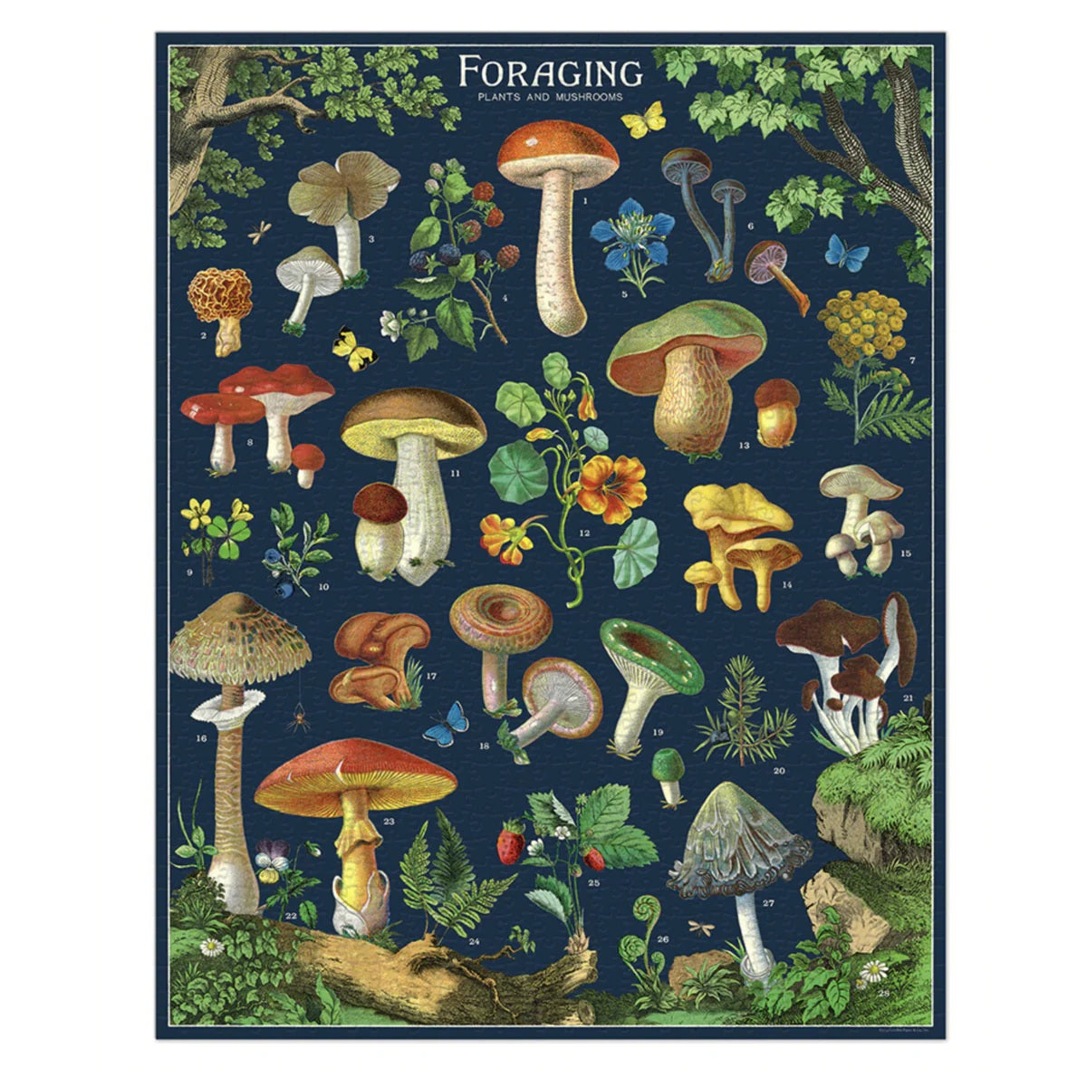 Foraging Vintage 1000 Piece Puzzle MW-21674_b7deea12-d95f-4766-a586-b60ae0358d2a