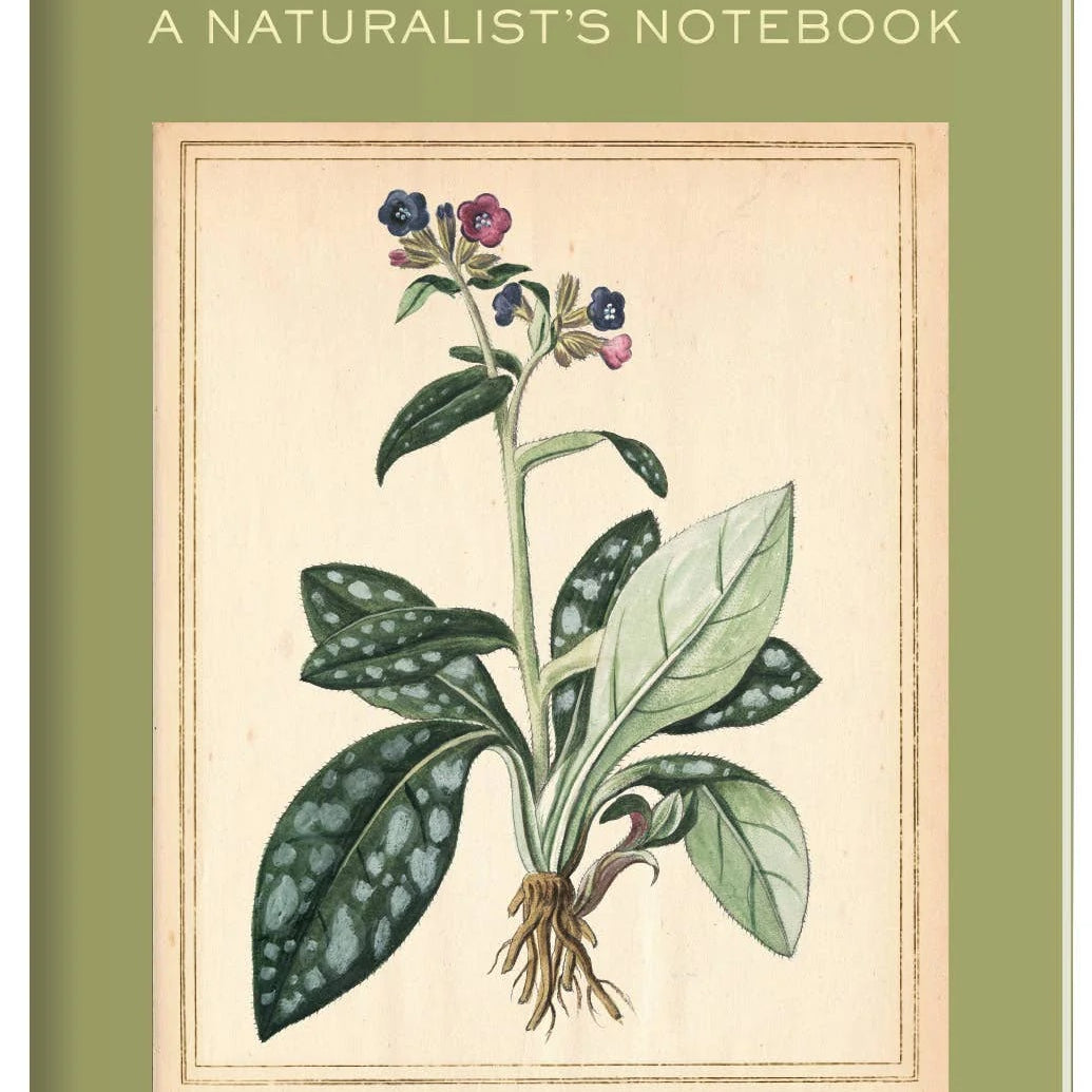 Botany Passport MW-21718_07ea8c41-abad-4fd5-8be0-486c13950966