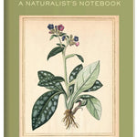 Botany Passport MW-21718_07ea8c41-abad-4fd5-8be0-486c13950966