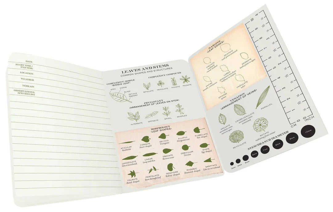 Botany Passport MW-21718_2