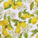 Amalfi Lemons Notecards MW-21790_1d48f395-825a-4016-8a01-16d45d56c28d