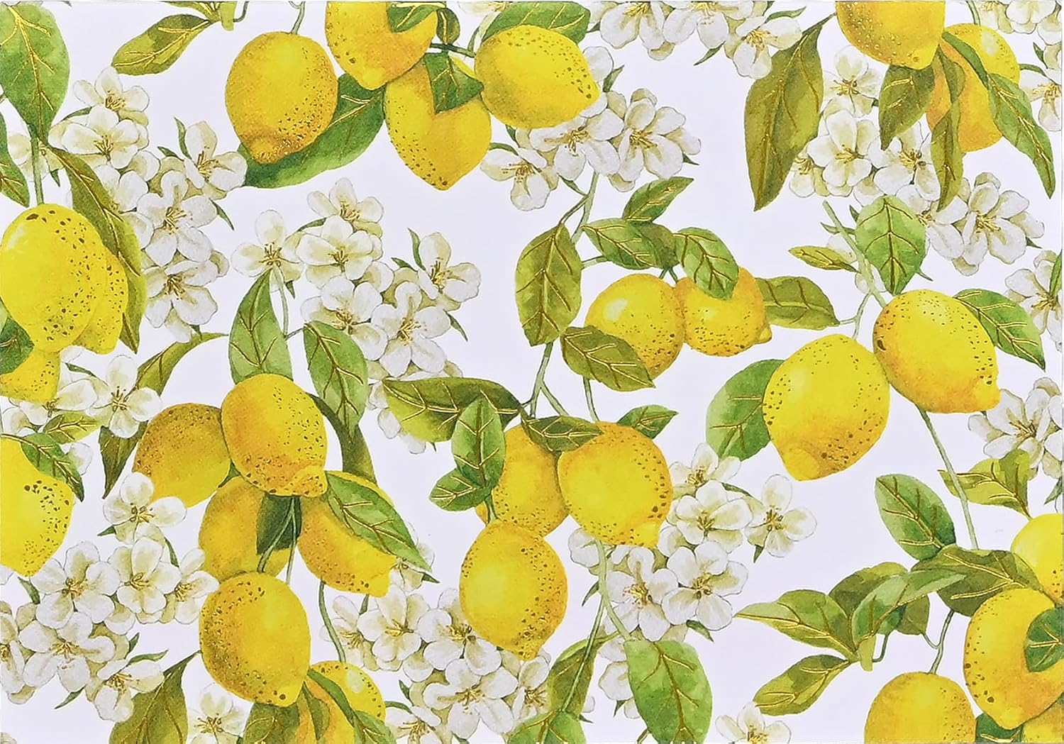 Amalfi Lemons Notecards MW-21790_1d48f395-825a-4016-8a01-16d45d56c28d