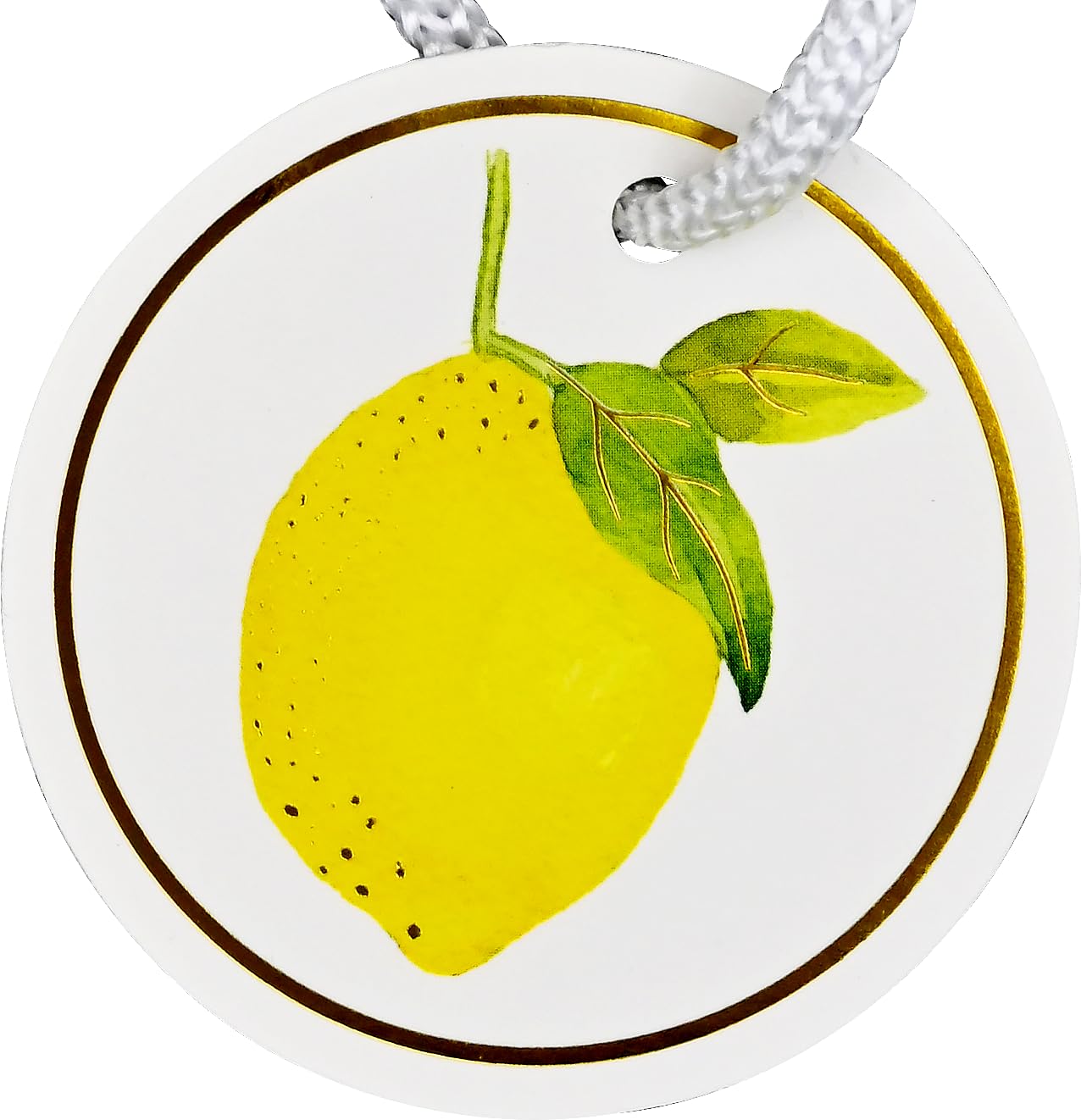 Amalfi Lemons Gift Bag MW-21794