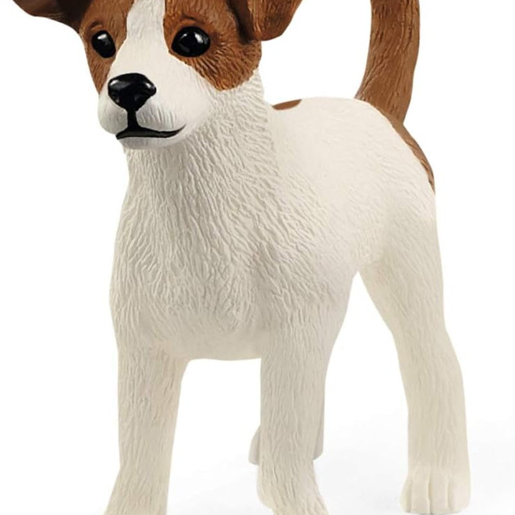 Jack Russell Terrier MW-21829