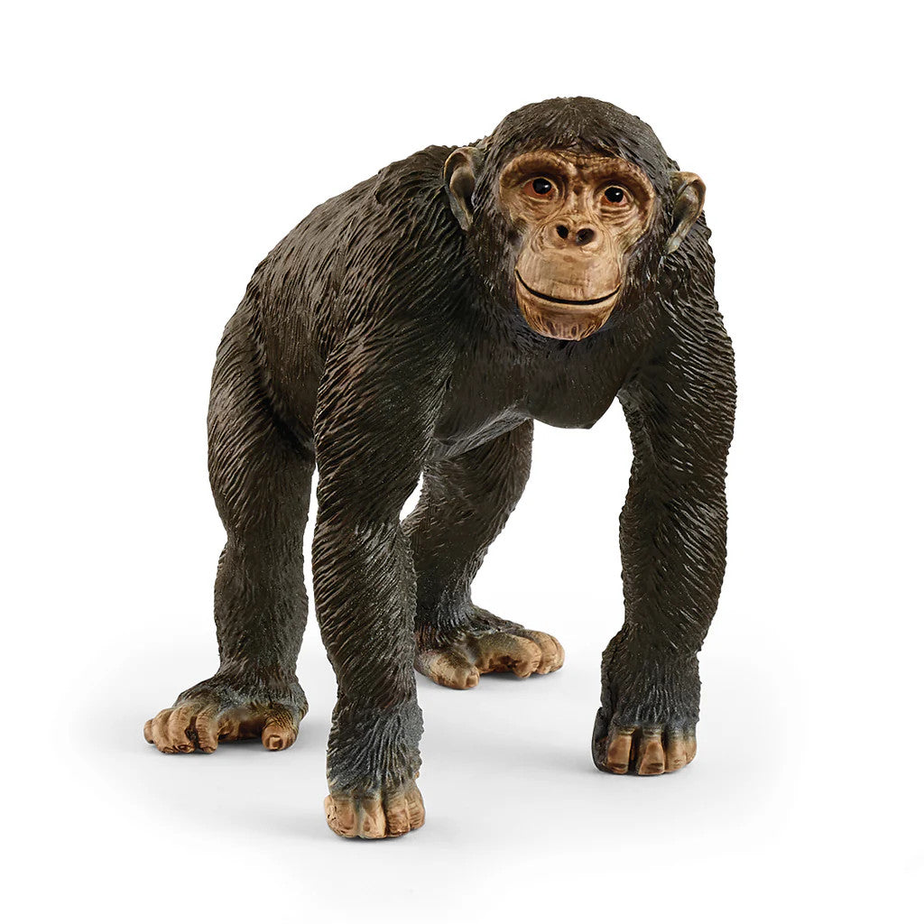 CHIMPANZEE MW-21835
