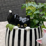 Peek A Boo Kitty Planter MW-21961_2