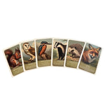 Wildlife Pairs Card Game MW-22131