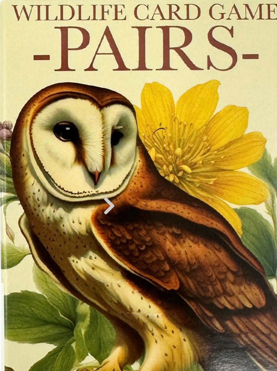 Wildlife Pairs Card Game MW-22131_e13d0f01-1199-4557-9ad0-4090b027f08f