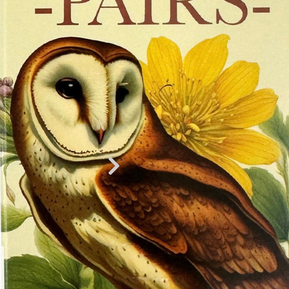 Wildlife Pairs Card Game MW-22131_e13d0f01-1199-4557-9ad0-4090b027f08f