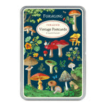 Postcards Foraging Mushrooms MW-22232