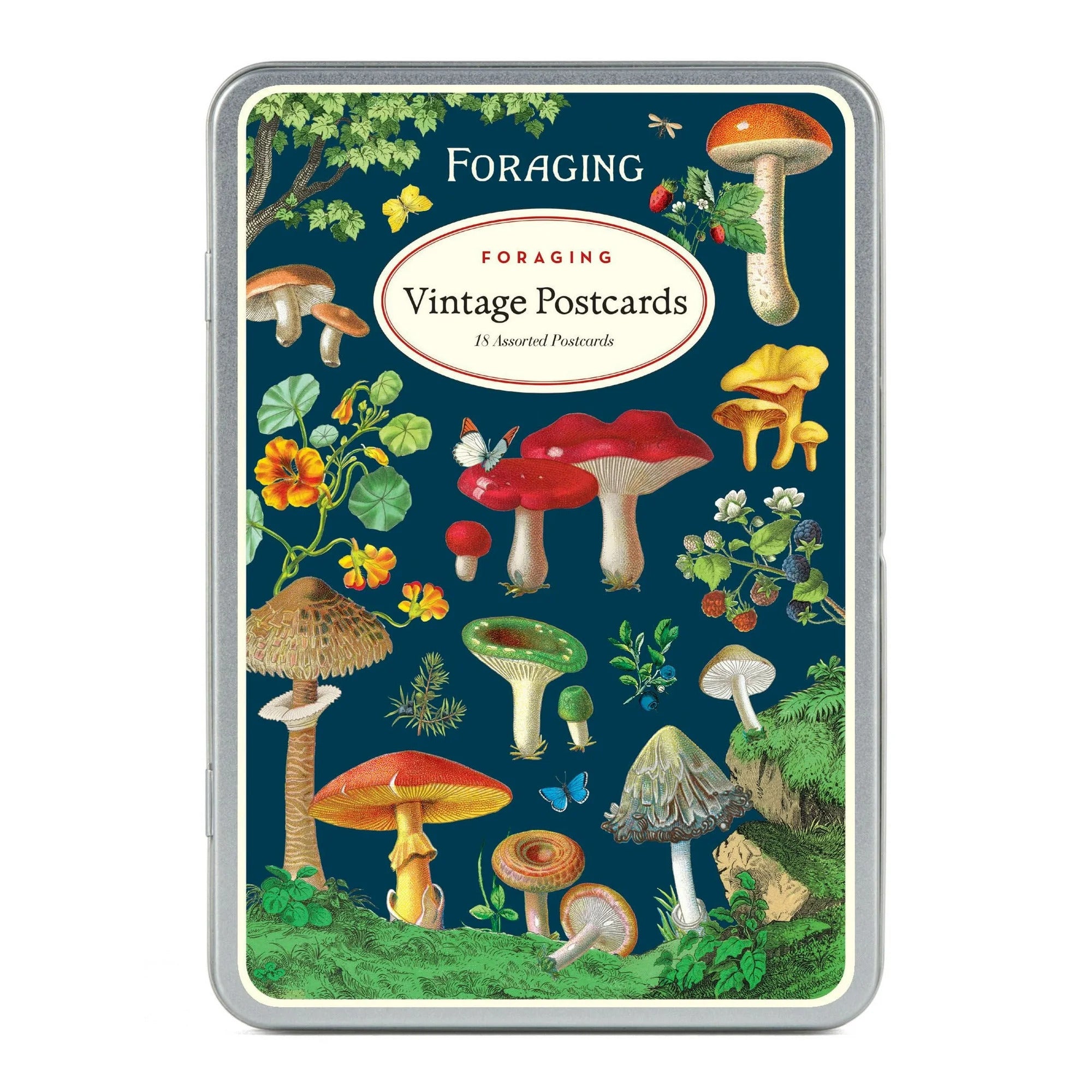 Postcards Foraging Mushrooms MW-22232