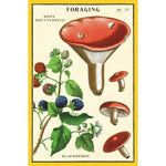 Postcards Foraging Mushrooms MW-22232_4