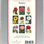 Postcards Botanica Flowers MW-22240