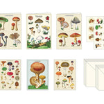 Stationery Set Mushrooms MW-22241_4