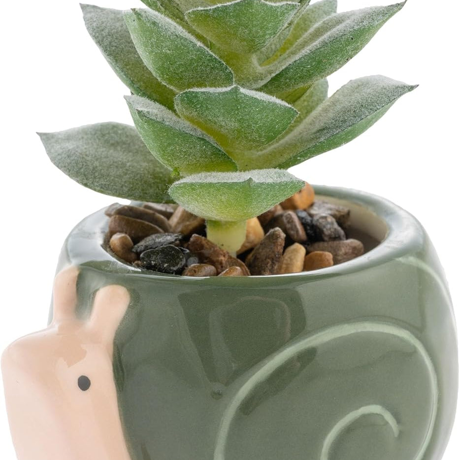 Succulent Pot Snail MW-22324