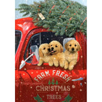Holiday Farm Fresh Cards MW-22369