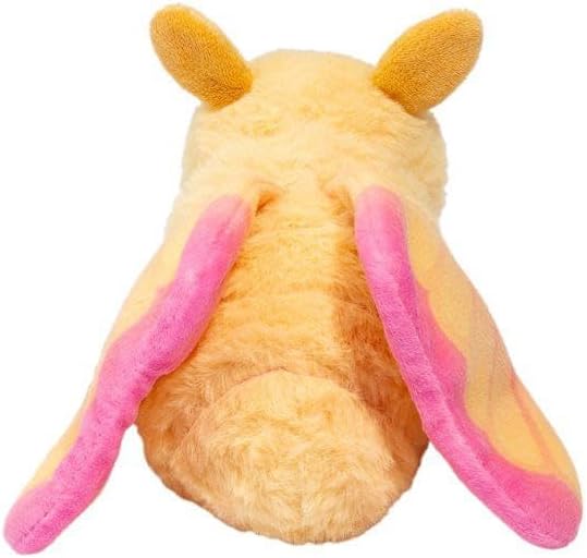 Rosy Maple Moth 80 MW-22384_4