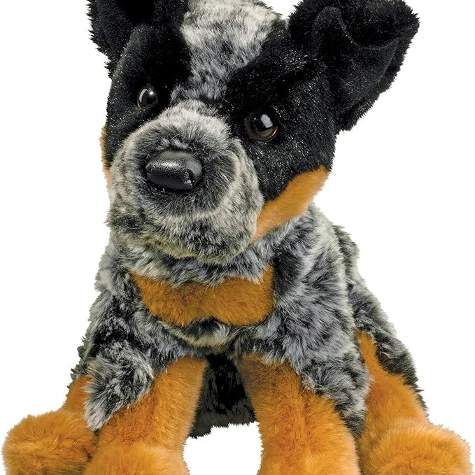 Dexter Australian Cattle Dog MW-22458