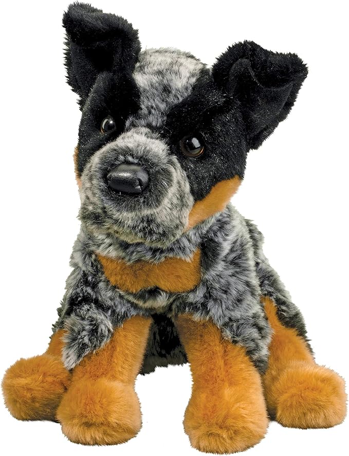 Dexter Australian Cattle Dog MW-22458
