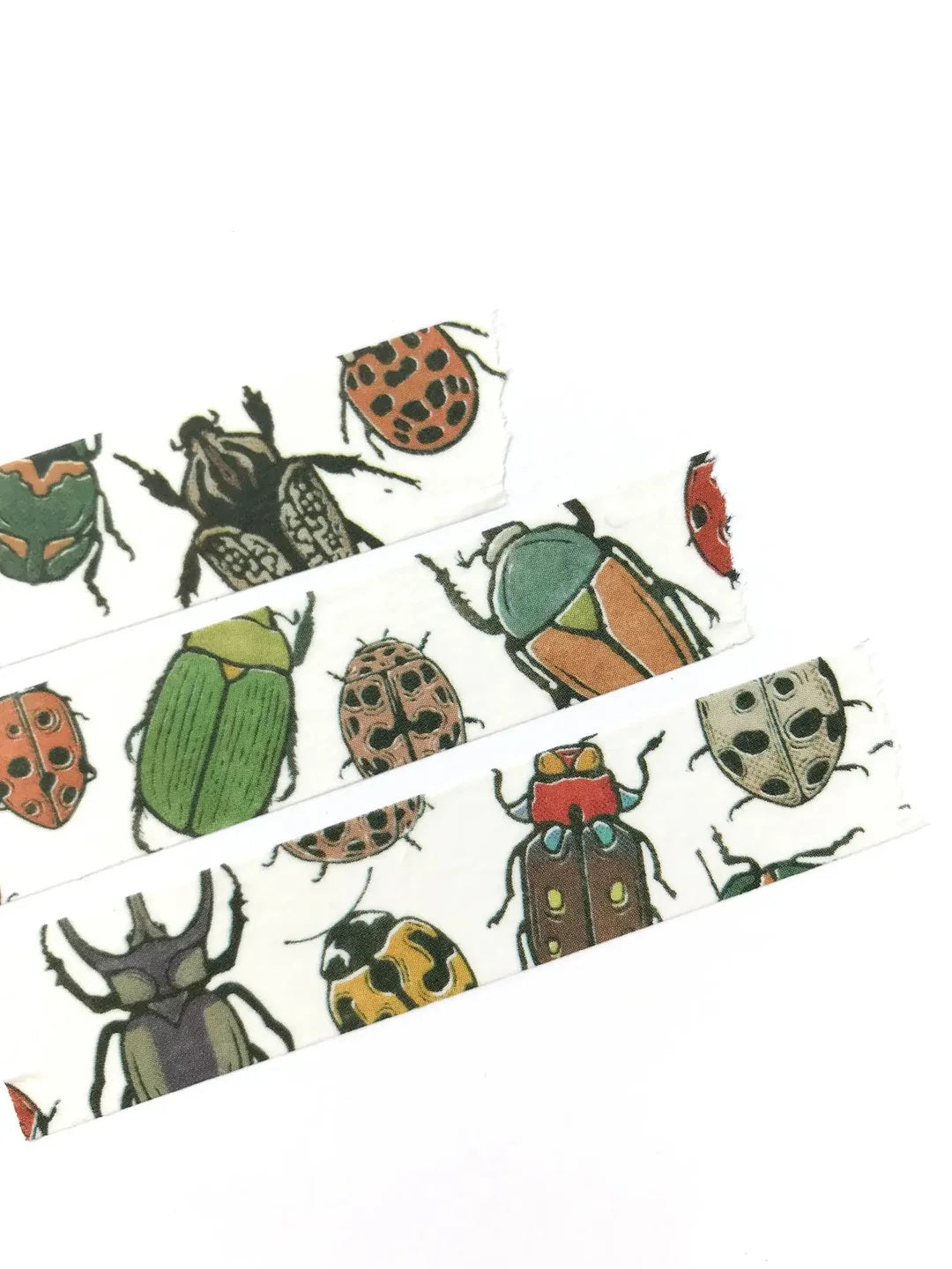 Washi Tape Bettle Insect 50 MW-22673
