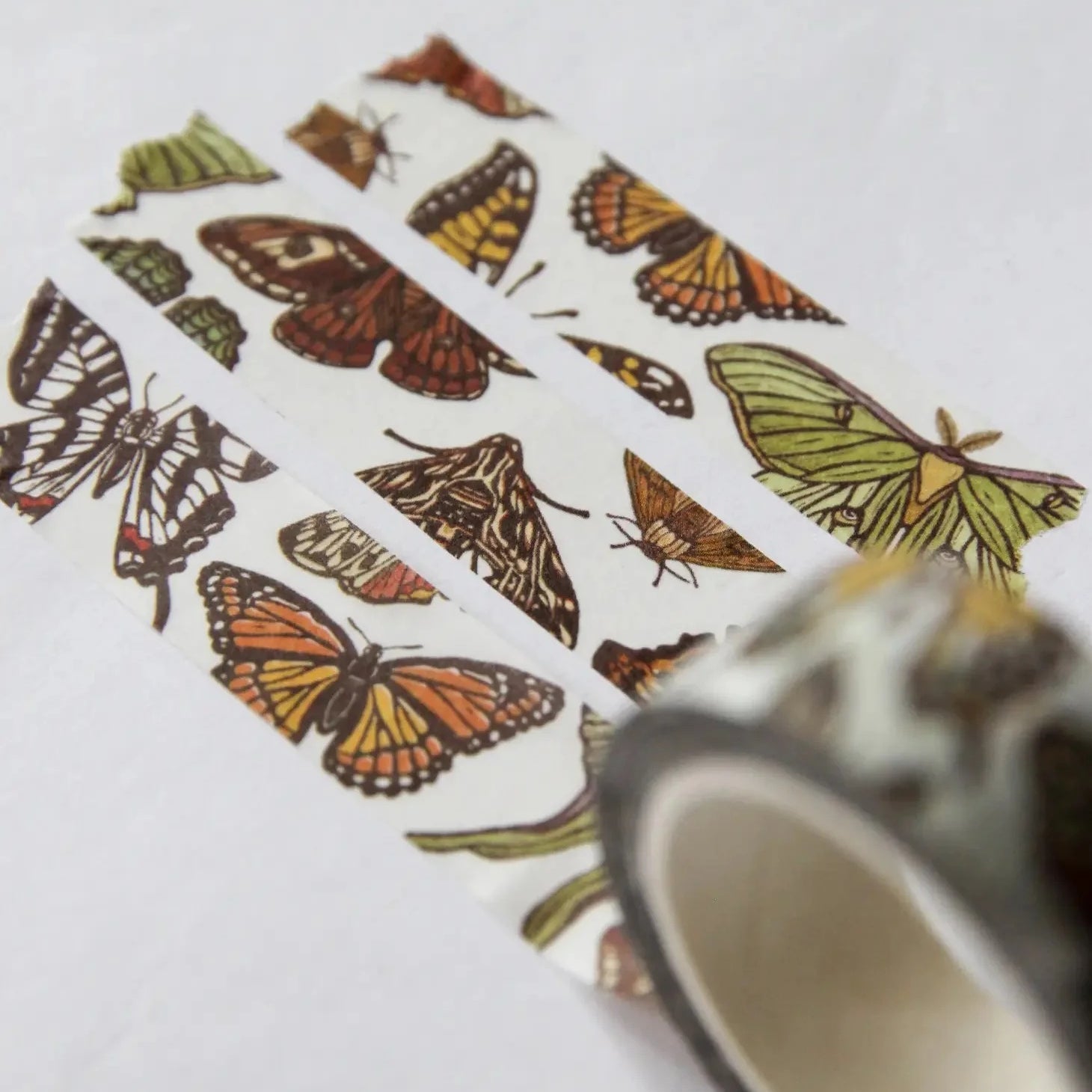 Washi Tape Butterfly Moth 50 MW-22674