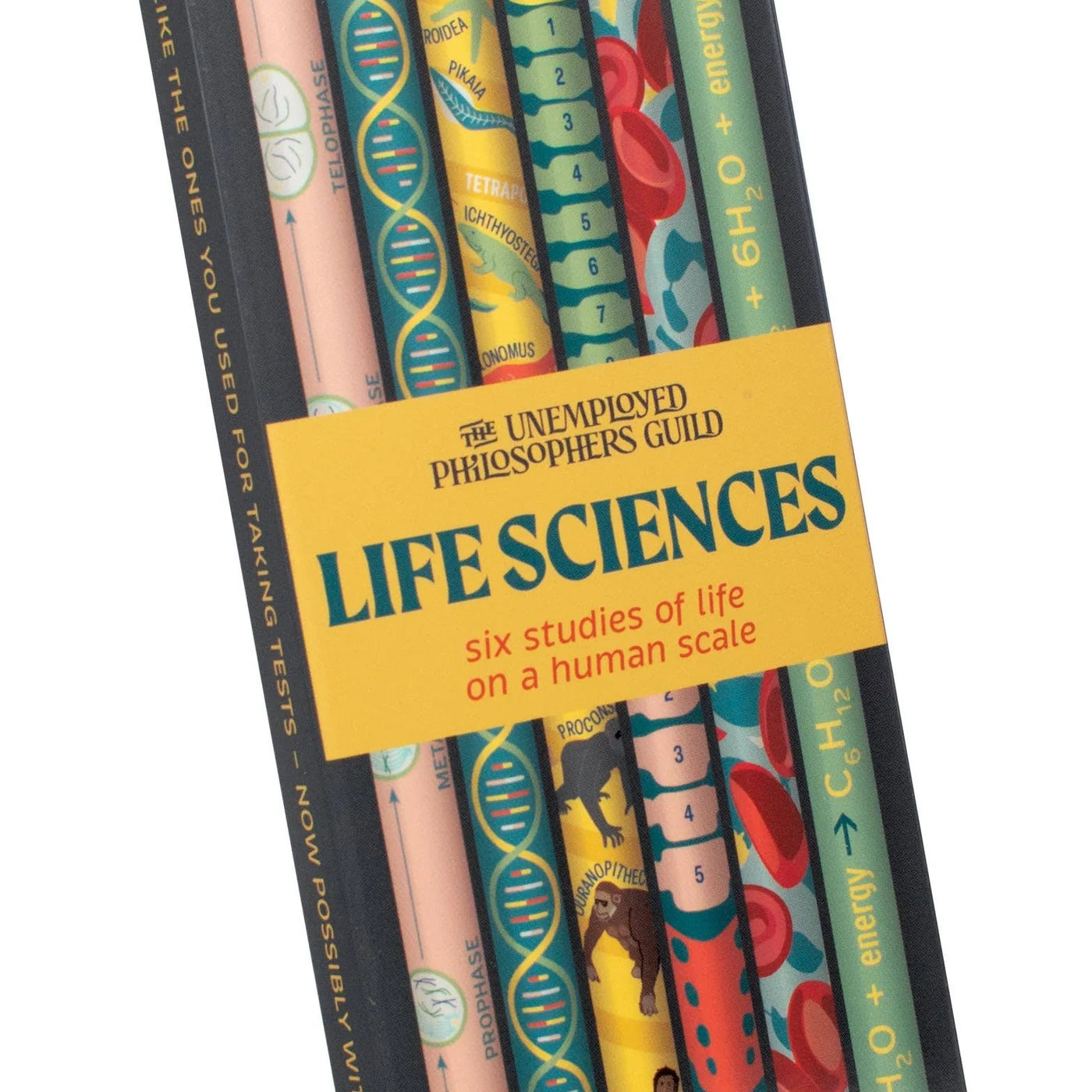 Life Sciences Pencil Set 50 MW-22738