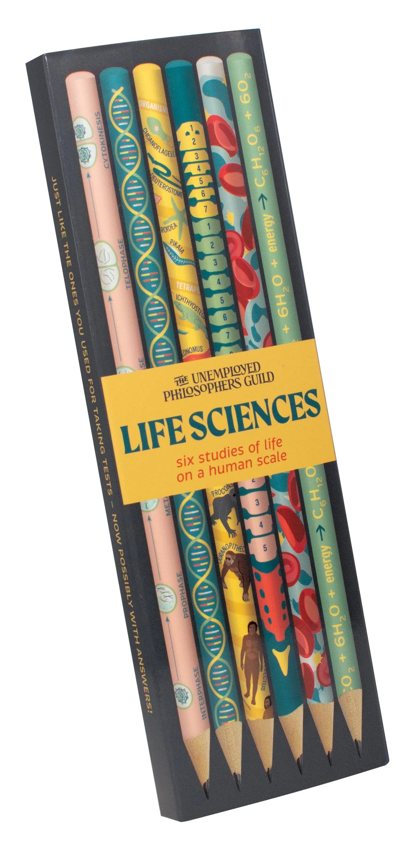 Life Sciences Pencil Set 50 MW-22738