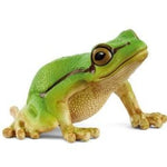European Green Tree Frog 80 MW-22747