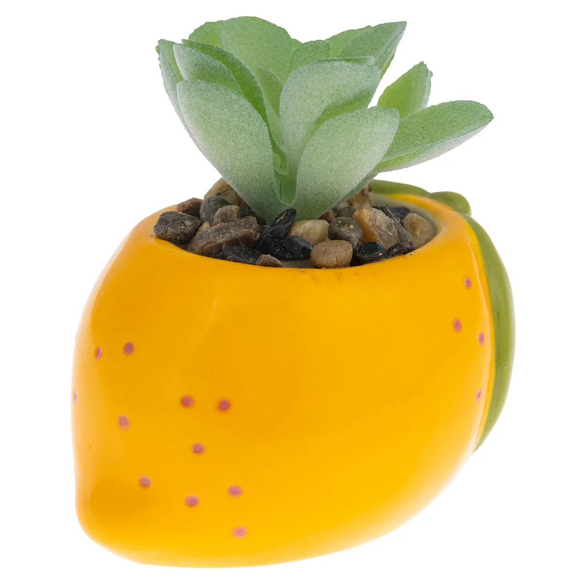 Succulent Pot Lemon 50 MW-22788