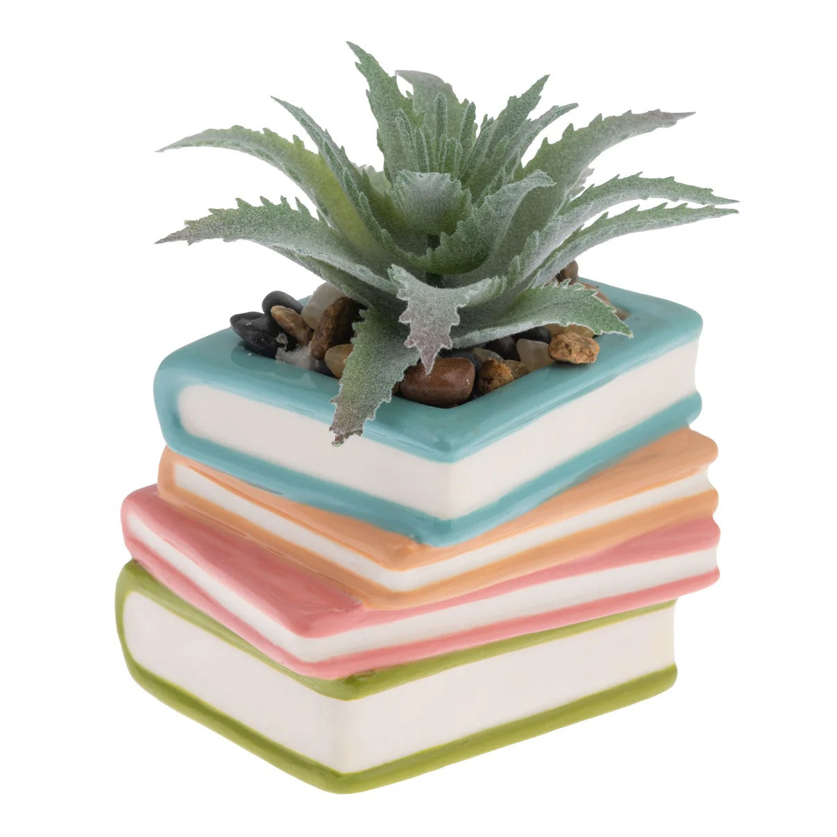 Succulent Pot Books 50 MW-22789