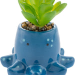 Succulent Pot Octopus 50 MW-22790