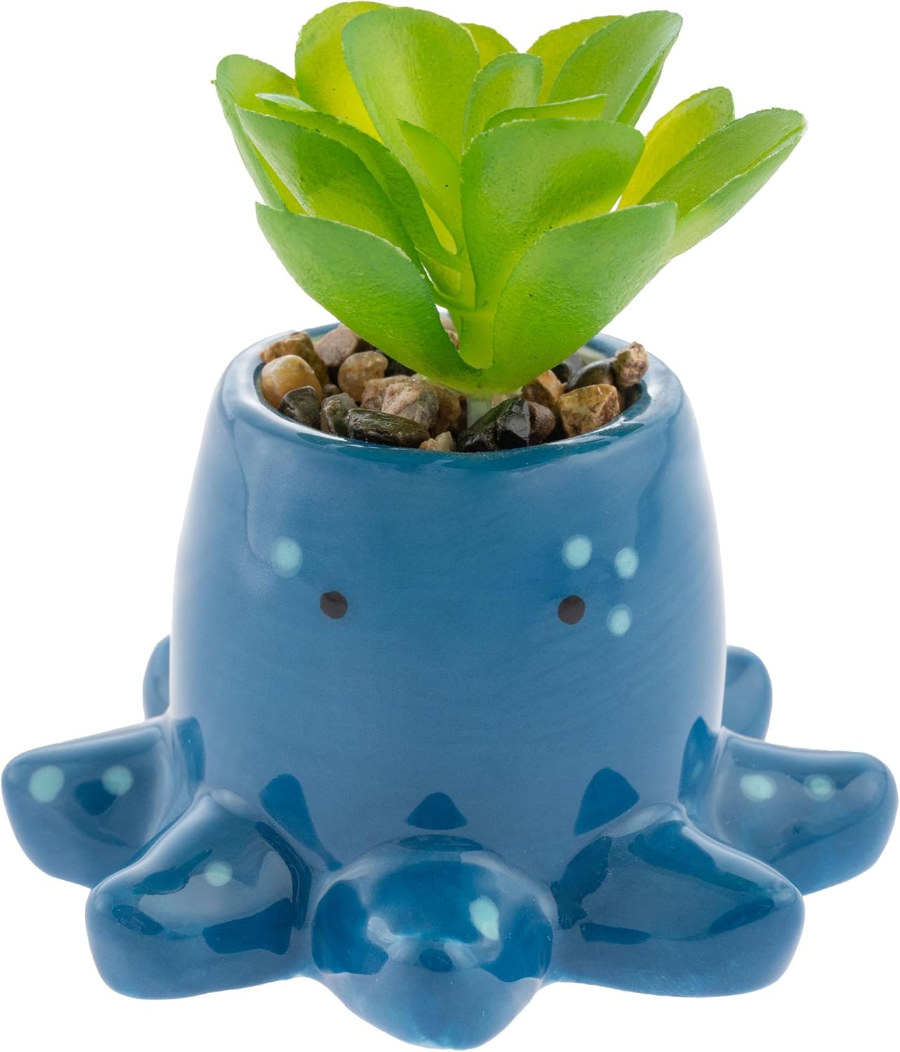 Succulent Pot Octopus 50 MW-22790