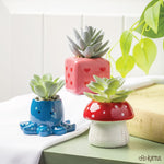 Succulent Pot Octopus 50 MW-22790_2