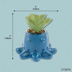 Succulent Pot Octopus 50 MW-22790_dae75b3a-4186-41fe-a461-252bd641bf3e