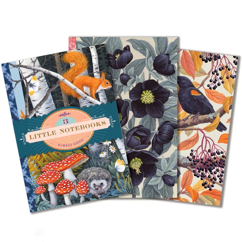 Small Journal Set Of 3 Vasilisa Little Notebooks 50 MW-22805