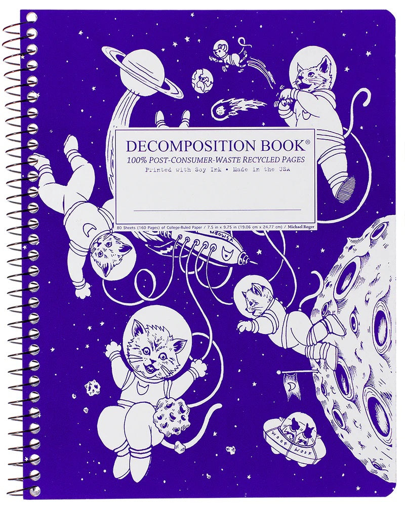 Kittens Space Spiral Decomposition 50 MW-23006