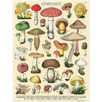Mushroom Mini Puzzle 240 Piece 20 MW-23032_a7144210-e951-45c6-9738-bdb76d4b12ad
