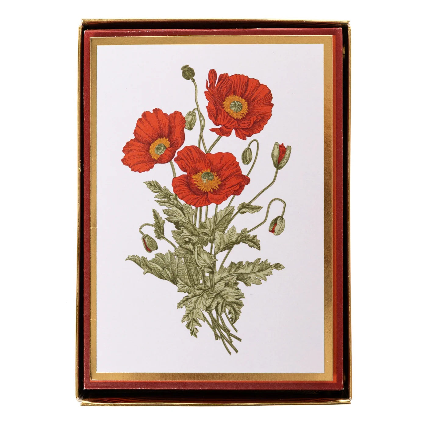 Poppies Boxed Note Cards 50 MW-23147