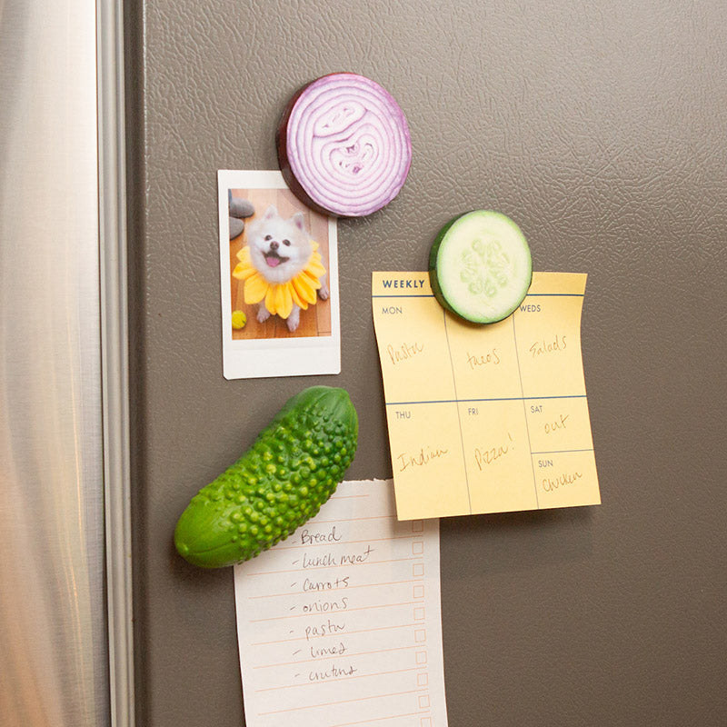 Vegetable Magnets 50 MW-23422