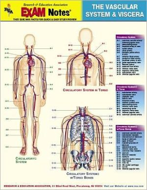 The Vascular System & Viscera TG-10037_9c116be4-5d32-405f-8f69-1f4fe8d71a09